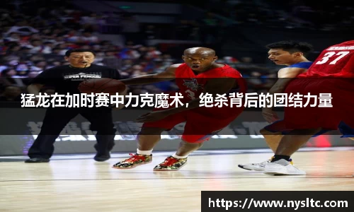 乐鱼电竞